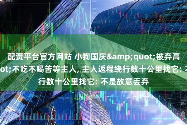 配资平台官方网站 小狗国庆"被弃高速"不吃不喝苦等主人, 主人返程绕行数十公里找它: 不是故意丢弃